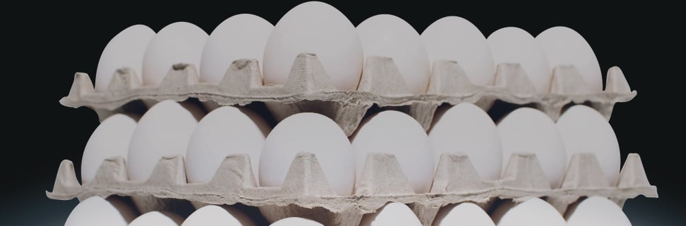 New White Paper: The Extinction of the Nest Egg